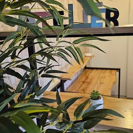 Cosy Loft - Apartamento *
